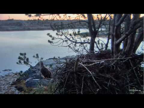 2016/10/08 8h norwegian WTE Male at home flew out  returned flew out again