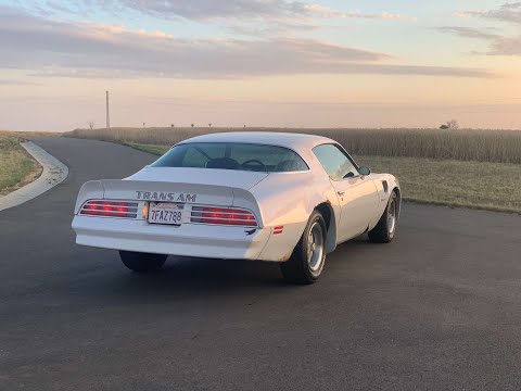 1976 | Pontiac Firebird Trans Am SD-455 “ Super Duty “ 7.5 V8