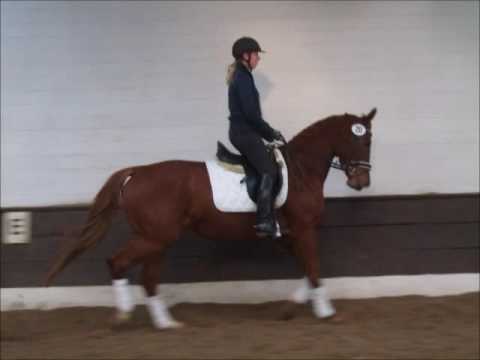 "CHUPPA CHUPS" 5j. St. v. Cashmoaker - Wilander  VB 6700,- Euro