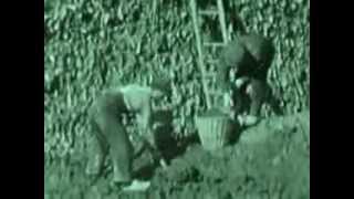 preview picture of video 'Boerenleven Johanna Hoeve Nieuwendijk Goudswaard 1936-Deel 2'