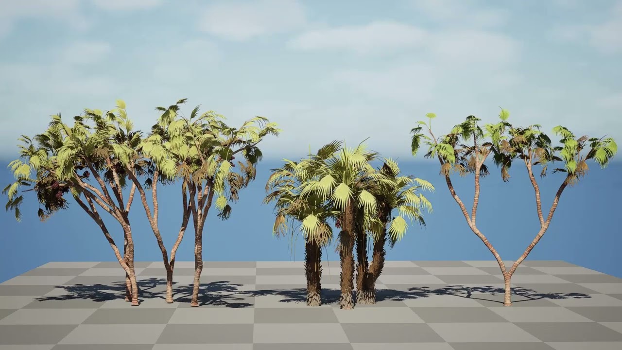 Pacchetto di palme Doum sudafricano Modello 3D