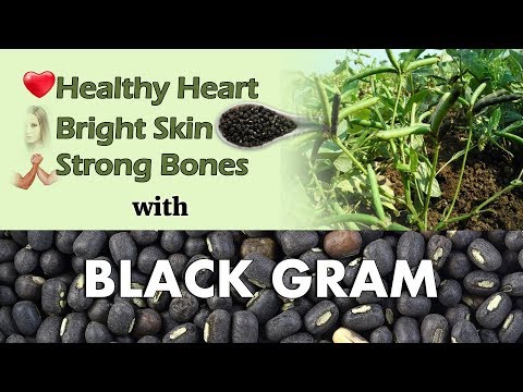 Powerful benefits of black gram for glowing skin & internal ...
