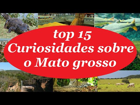top 15 CURIOSIDADES sobre o Mato GROSSO