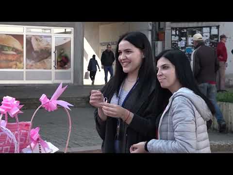 Hronika: Zavidovići 295 - Dan roze vrpce