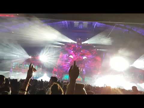 Knockout Circuz 2017