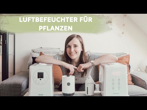 LUFTBEFEUCHTER FÜR PFLANZEN | DIE RICHTIGE LUFTFEUCHTIGKEIT FÜR ZIMMERPFLANZEN | coyote diaries