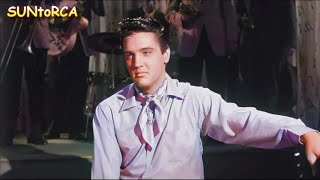 Elvis Presley - Blue Moon ( Colourised Video Edit)