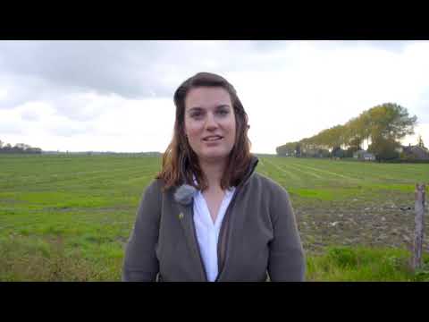 JagersTV Afl. 4 - Ganzenjacht, ganzenbeleid, voederbietenproject