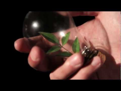 Video Production Company Charlotte, NC - LensFlare Creations