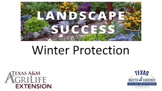 Winter Protection (08.22.2025)