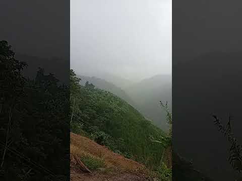 panorama palestina Huila Colombia