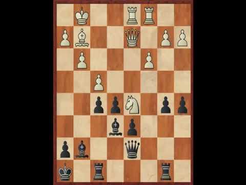 The Sveshnikov IM Andrew Martin