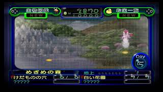 続・あなたとわたしとPIKMIN！2日目【ピクミン2】