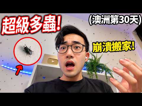 開箱我在澳洲的第一個家！住滿30天，但房間竟然一堆蟲!?😭 (一個月後的心得？叫車被詐騙？)【有感筆電 Vlog 澳洲生活 ep3】