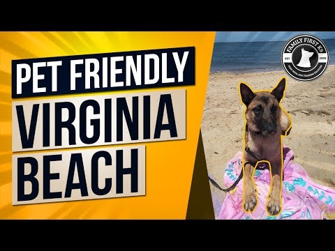 image-What are the best pet friendly hotels in Virginia Beach?