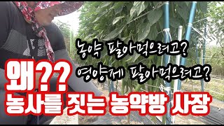 농약사의 하루 2장!! 농약사 사장님이 고추 재배를 시작하게 된 이유는??? 농약 팔아먹으…