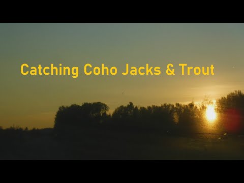Catching Coho Jacks &amp; Trout