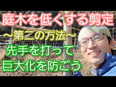 春に剪定する植物はどれですか？ 3月・4月に伐採する樹種は5群  庭園