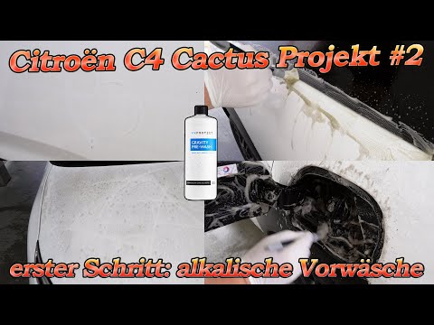 5 Jahre Biomasse! Citroën Projekt Teil 2 - Ausführliche alkalische Vorwäsche der wichtigste Schritt