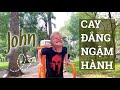 HÀNH TÂY: John ngậm hành sau lâu ngày không gặp.