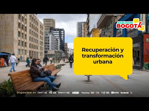 Organización, derechos y deberes en el espacio público de Bogotá