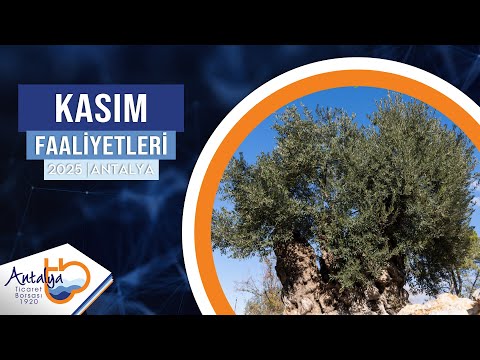 Kasım Ayı Faaliyet Videosu | 2025