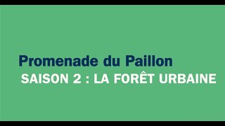 LUTTE CONTRE LES ÎLOTS DE CHALEUR - épisode 3 - Promenade du Paillon Saison 2 : La Forêt Urbaine