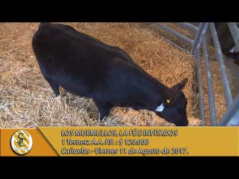 11-08-17 Venta Terneras PP - Los Murmullos, La Fé e invitados - Cañuelas -