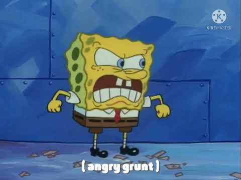 Sound Ideas, ANIMAL, CAT - TOM CATS, FIGHTING, HISSING, GROWLING