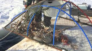 Crabbing on the frozen Bering Sea in Nome, AK