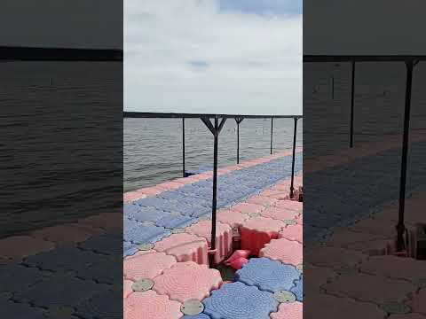 El muelle flotante de la laguna de Chascomus Buenos Aires Argentina