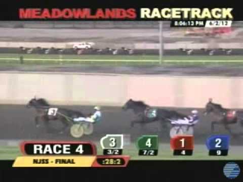 New Jersey Sire Stakes Final 2012 -Little Brown Fox