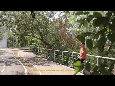 Dary Alva - Cartas de Sabines (Visualizer) | CAMINOS