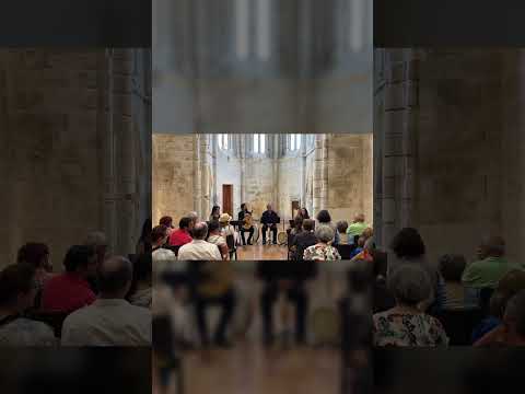 Wind's Voice - Católica