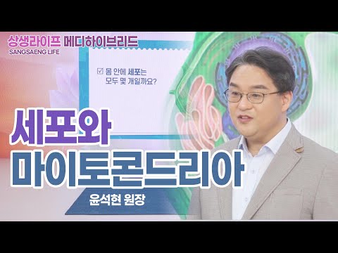 기초(숨) 수행과정