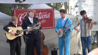 The Blue Js - The Cuckoo Bird