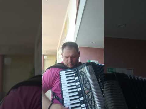 Rašino kolo - Radovan Marić - solo harmonika