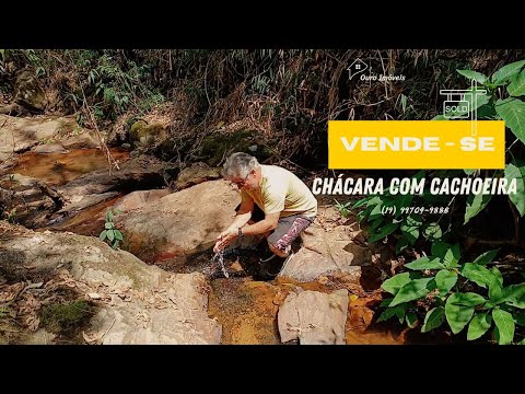 🌳 Sítio de 6.000m² à venda por R$ 180.000 – Ouro Fino/MG 🌳 -⚡ Venda com certa urgente!