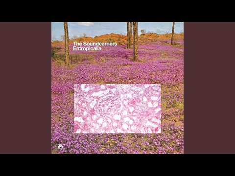 So Beguiled - The Soundcarriers