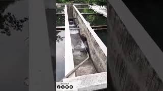 Muni de Escuintla gana Caso BIENCO