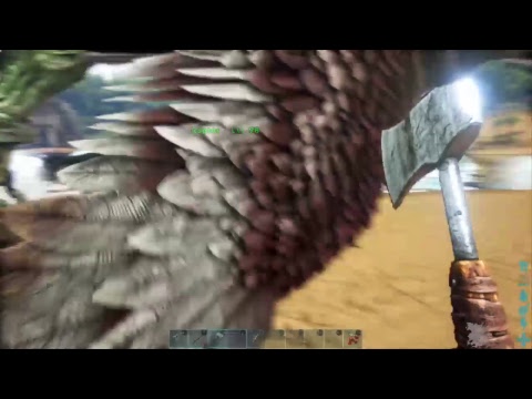 Ark going to the Redwoods