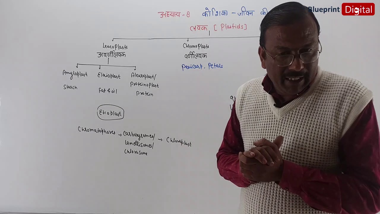 Chapter 8 - Cell : The Unit of Life Part 13 | Hindi Medium | Biology Class 11 - Plastids