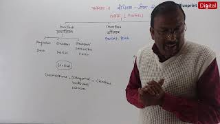 Chapter 8 - Cell : The Unit of Life Part 13 | Hindi Medium | Biology Class 11 - Plastids