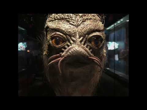 The Dark Crystal Landstrider Puppet at the Academy Museum of Motion Pictures (Los Angeles, CA)