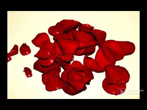 Mujer Marchita - Jorge Oñate