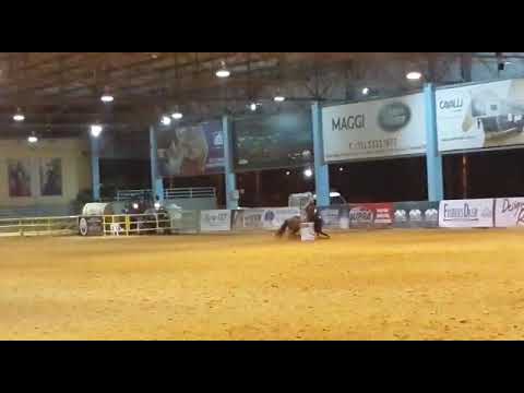 Captiva Six x Renan Gruman - Test Horse - 17.1