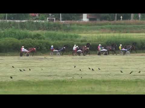 Trka "Arkobaleno K" 06.06.2021 Grom I.V. - Miodrag Pantić