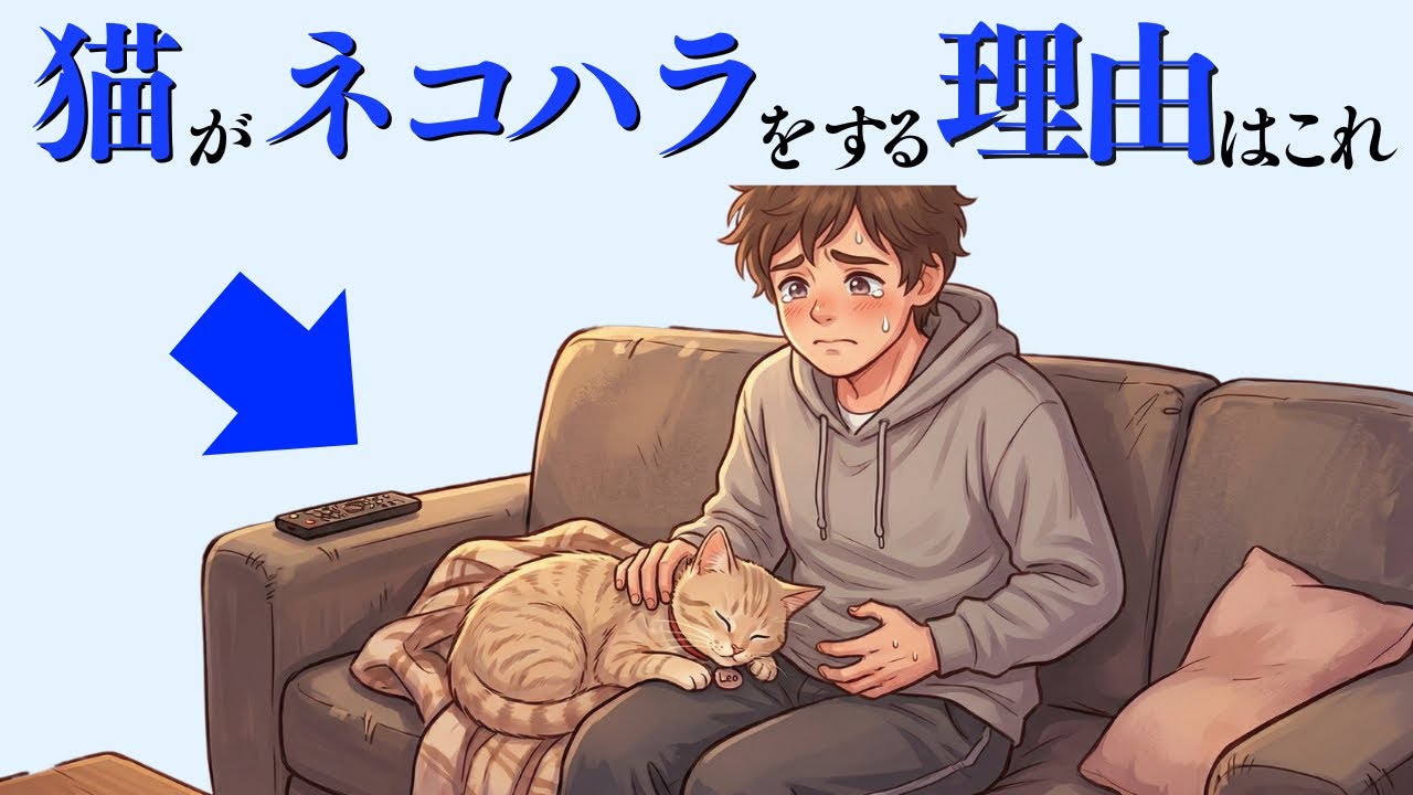 【猫がネコハラをする理由】 猫の雑学 #猫 #ねこ 