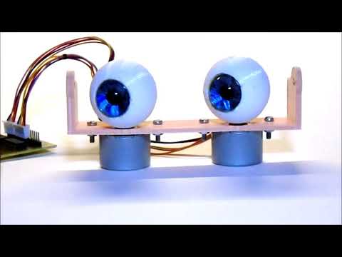Direct drive animated eyes by WillemvD - Thingiverse