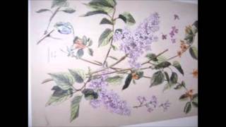 Barbara - Le Temps du Lilas (Radio 1962).